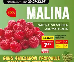 Biedronka Malina polska, opak oferta