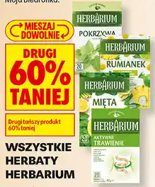 Biedronka Wszystkie herbaty Herbarium oferta