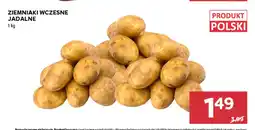 Stokrotka Ziemniaki wczesne jadalne polskie oferta
