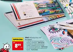 Biedronka Blok artystyczny A4 LOOZZ Art 20 kartek oferta