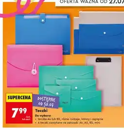 Biedronka Teczka A4 Kayet oferta