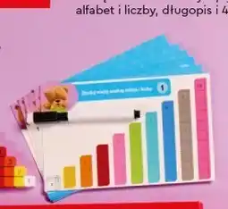 Biedronka Układanka matematyczna z zakreślaczem i puzzle z ułamkami Kayet oferta