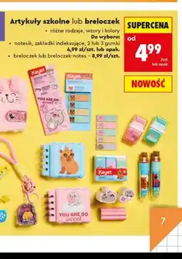 Biedronka Notesik Kayet oferta