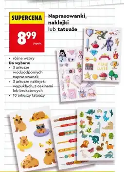 Biedronka Naprasowanki wodoodporne Kayet oferta