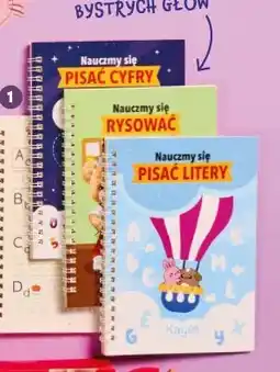 Biedronka Książeczki edukacyjne do nauki pisania i rysowania Kayet oferta