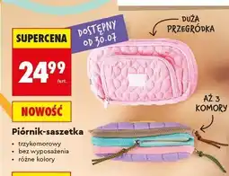 Biedronka Piórnik-saszetka trzykomorowy Kayet oferta