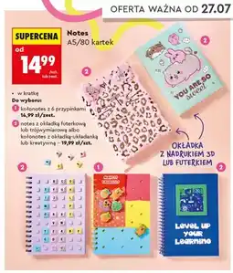 Biedronka Kołonotes z 6 przypinkami Kayet 80 kartek oferta