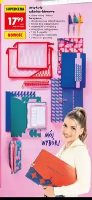 Biedronka Teczka A4 z przegródkami Kayet oferta