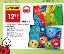 Biedronka Blok rysunkowy A3 LOOZZ 25 kolorowych kartek oferta