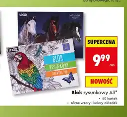 Biedronka Blok rysunkowy A3 LOOZZ 40 kartek oferta