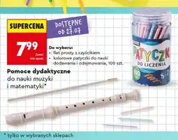 Biedronka Flet prosty z czyścikiem Loozz oferta