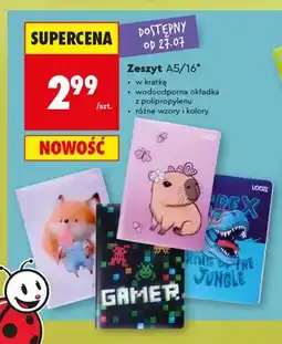 Biedronka Zeszyt A5 LOOZZ 16 kartek oferta