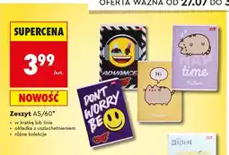 Biedronka Zeszyt A5 60 kartek St. Majewski oferta