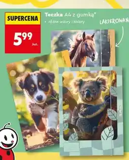 Biedronka Teczka A4 z gumką lakierowana Herlitz oferta