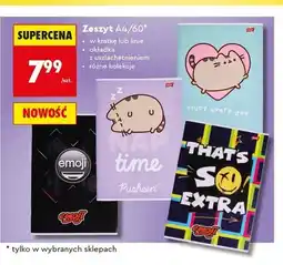 Biedronka Zeszyt A4 60 kartek St. Majewski oferta