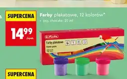 Biedronka Farby plakatowe Herlitz 12 kolorów oferta