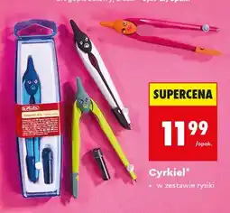 Biedronka Cyrkiel Herlitz oferta