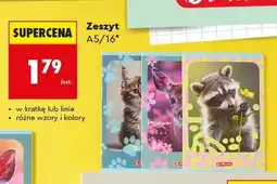 Biedronka Zeszyt A5/16 Herlitz oferta