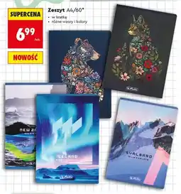 Biedronka Zeszyt A4/60 Herlitz oferta