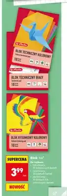 Biedronka Blok techniczny kolorowy Herlitz A4 oferta