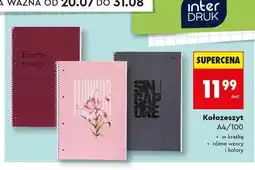 Biedronka Kołozeszyt A4/100 Interdruk oferta