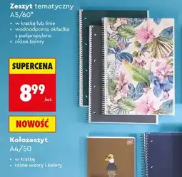 Biedronka Kołozeszyt A4/50 Interdruk oferta