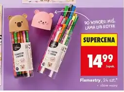 Biedronka Flamastry Kidea oferta