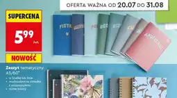 Biedronka Zeszyt tematyczny A5/60 w kratkę Interdruk oferta