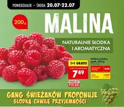 Biedronka Malina polska oferta