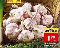 Biedronka Czosnek polski młody oferta
