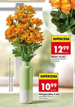 Biedronka Margaretka 5-pak oferta