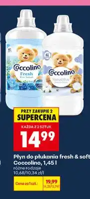 Biedronka Płyn do płukania Coccolino Fresh Blue Splash oferta