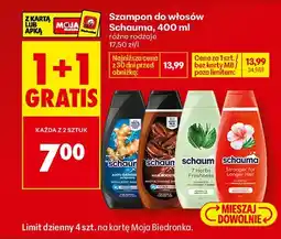 Biedronka Szampon do włosów Schauma Anti-Dandruff oferta