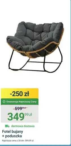 ERLI Fotel bujany oferta