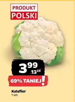 Netto Kalafior Polski oferta