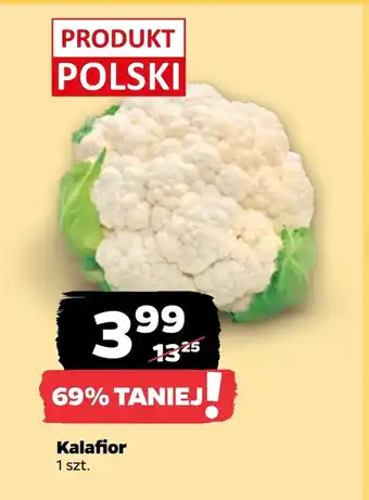 Netto Kalafior Polski oferta