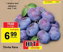 Gram Market Śliwka Rana oferta