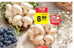 Gram Market Pieczarka polska oferta