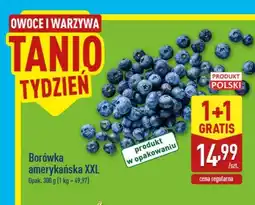 ALDI Borówka amerykańska XXL oferta