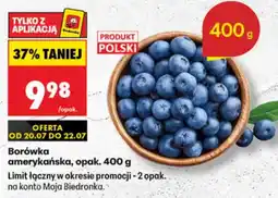 Biedronka Borówka amerykańska oferta