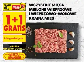 Biedronka Wszystkie mięsa mielone wieprzowe iwieprzowo-wołowe kraina mięs oferta