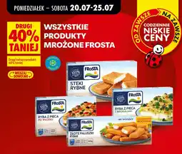 Biedronka Wszystkie produkty mrożone frosta oferta
