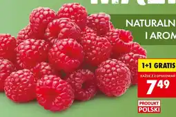 Biedronka Róża oferta