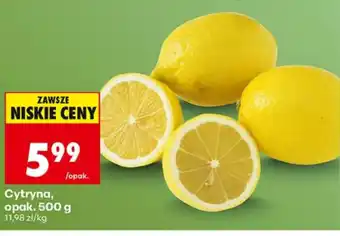 Biedronka Cytryna oferta