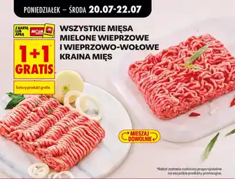 Biedronka Wszystkie mięsa mielone wieprzowe i wieprzowo-wołowe kraina mięs oferta