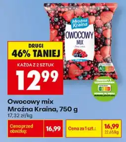 Biedronka Owocowy mix Mroźna Kraina oferta