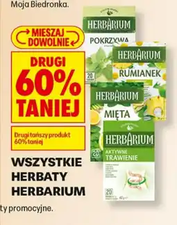 Biedronka Herbaty Herbarium oferta