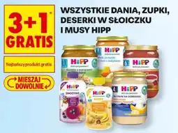 Biedronka Wszystkie dania, zupki, deserki w słoiczku i musy hipp oferta