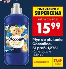 Biedronka Płyn do płukania Coccolino oferta