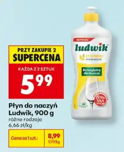Biedronka Płyn do naczyń Ludwik oferta